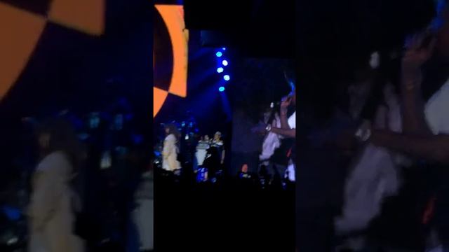 Erykah Badu & The Roots - The Roots Picnic 2015 featuring Freeway, YG, and The Lox смотреть онлайн