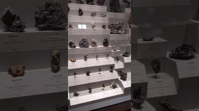 Natural history museum Washington смотреть онлайн