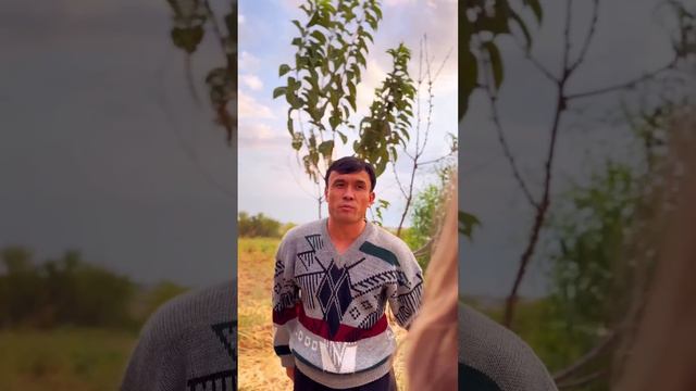 Utkir Shodmonov ~ Shamchiroq😅qullari😅#utkirshodmonov #vine #shortvideo