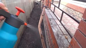 Первая весенняя обработка винограда