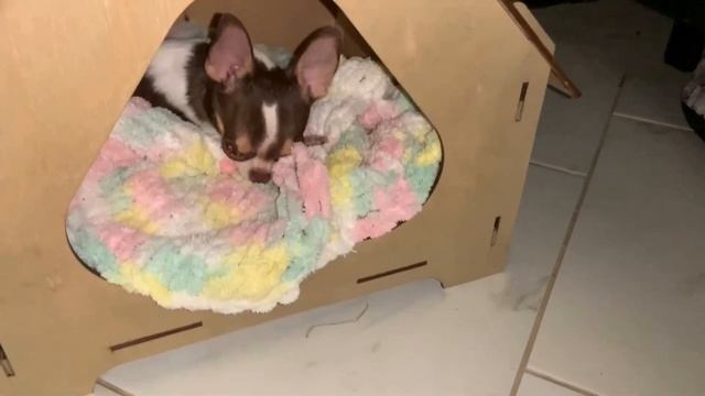 Всем спокойной ночи и самых сладких снов. смотреть онлайн