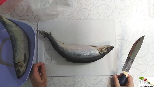 Вегетарианская Кухня