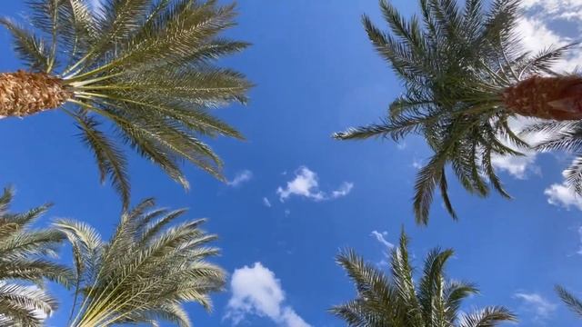 АФФИРМАЦИЯ НА ПРИВЛЕЧЕНИЕ ДЕНЕГ. Позитивная установка на день. Я магнит для денег. Закон притяжения смотреть онлайн