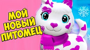 МИЛЫЙ КОТЕНОК❤️Ухаживаю за малышами Новый питомец  тамогочи