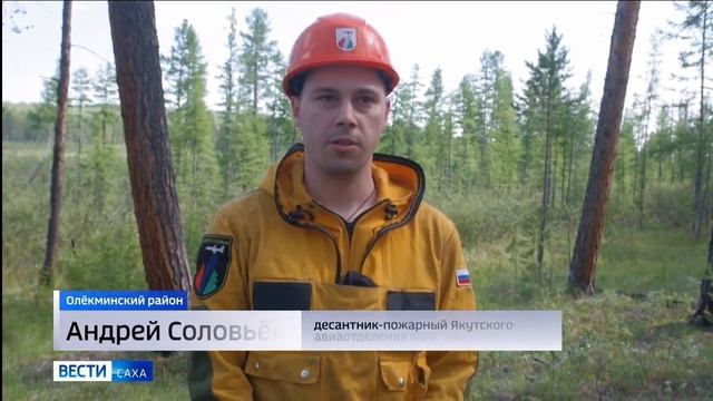 Гтрк Саха, 17 августа 2023 Десантники-пожарные Авиалесоохраны спасли заповедник от пожара в Якутии смотреть онлайн