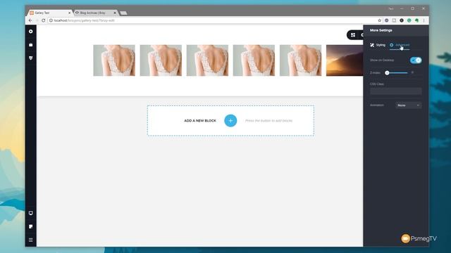 New in BRIZY PRO 0.0.3 Beta - Image Gallery Module смотреть онлайн