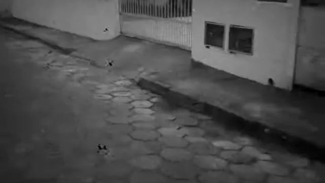 Manual M1 multimídia смотреть онлайн