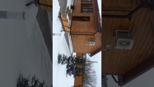 Дача Спивакова А.А. Воронежский глава сельского хозяйства! смотреть онлайн