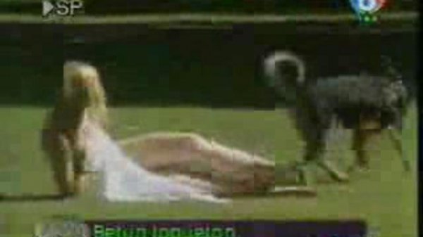 Это мега угар! Собака - извращенка