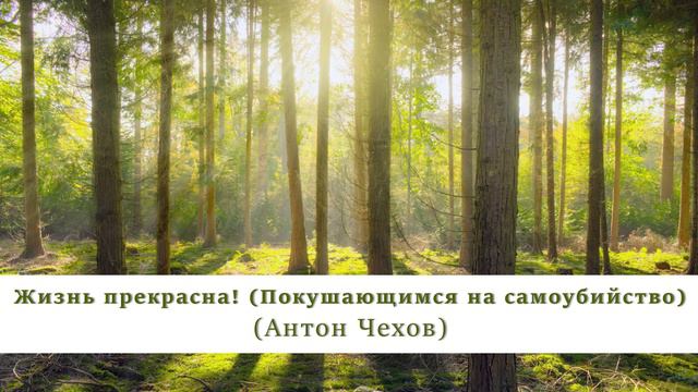 Жизнь прекрасна | Покушающимся на самоубийство | Антон Чехов |Аудиорассказ | Классическая литератур смотреть онлайн