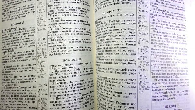 Чтение Библии - Псалтырь - Псалом 28. смотреть онлайн