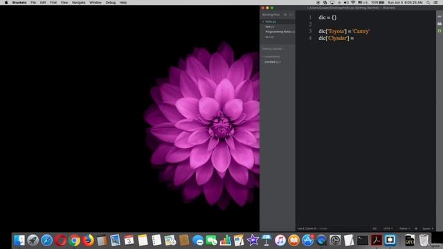 Filling Empty Dictionary #12.3 complete python course from basic to brilliance смотреть онлайн