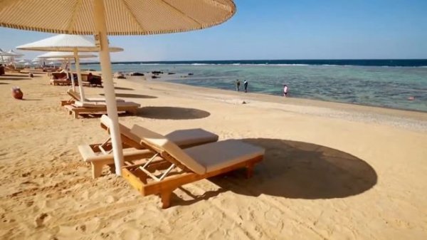 Albatros Sea World Marsa Alam - Families and couples only 5* Альбатрос Си Ворлд | Египет, Марса-Ала