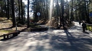 город Сосновый бор в Ленинградской области