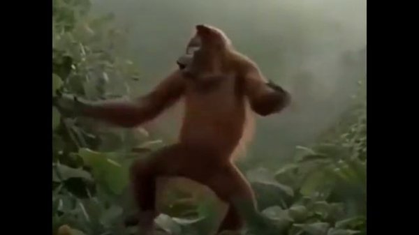 А в субботу