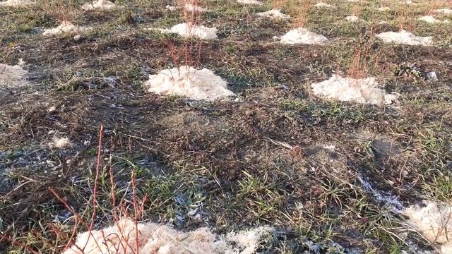 Мастерские Ремонта