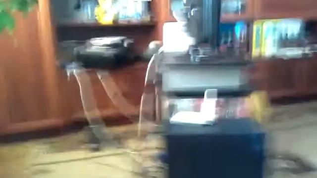 Вызов жвачного гномика смотреть онлайн
