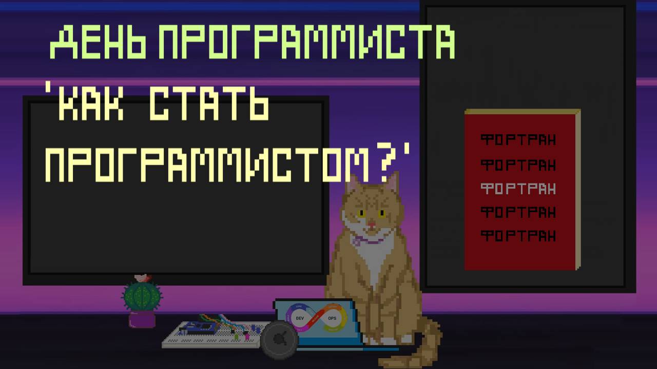 День программиста. "Как стать программистом?" | Заметки оцифрованного кота.