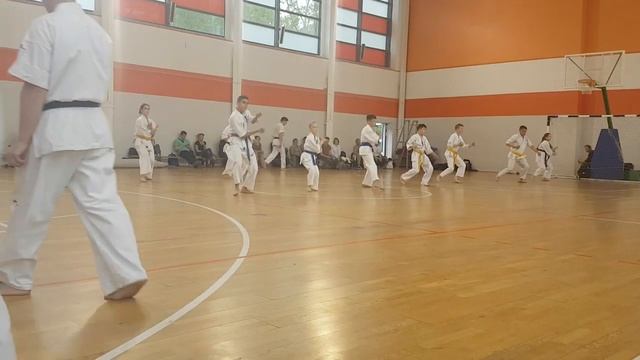 Киокушинкай. АТТЕСТАЦИЯ НА ЖЕЛТЫЙ ПОЯС (6 кю). СЕРЬЕЗНОЕ ИСПЫТАНИЕ. смотреть онлайн