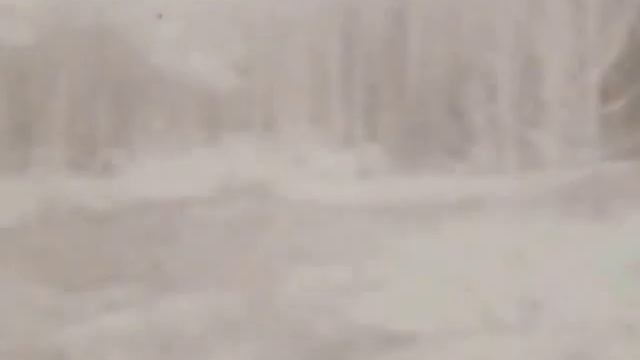 Тамара Миансарова Где-то багульник на сопках цветёт смотреть онлайн