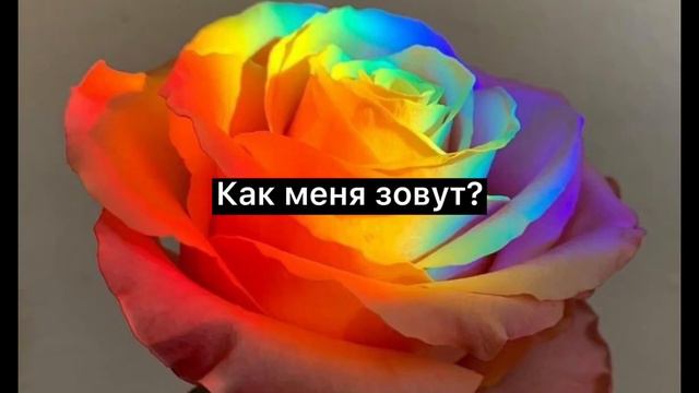 Скажи ей это…5часть) смотреть онлайн