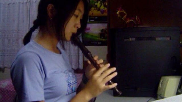[Dragon Roost Island - Zelda: The Wind Waker] Recorder Flute смотреть онлайн