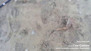 Рыбалка на озере Оброчное в Тюмени принесла несколько окуней