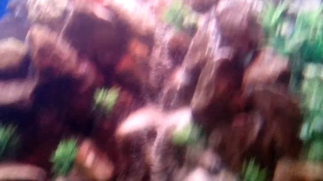 Пескопад в моем аквариуме смотреть онлайн