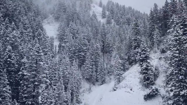 Tibetan Healing Sounds | Eliminate All Negative Energy In and Around | Meditation смотреть онлайн