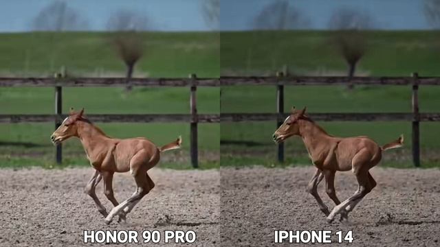 Honor 90 PRO VS IPHONE 14 camera test Comparison смотреть онлайн