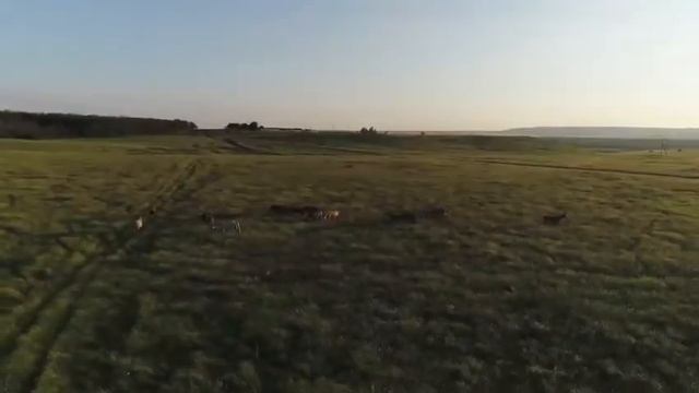 КСК "Седьмое небо" смотреть онлайн