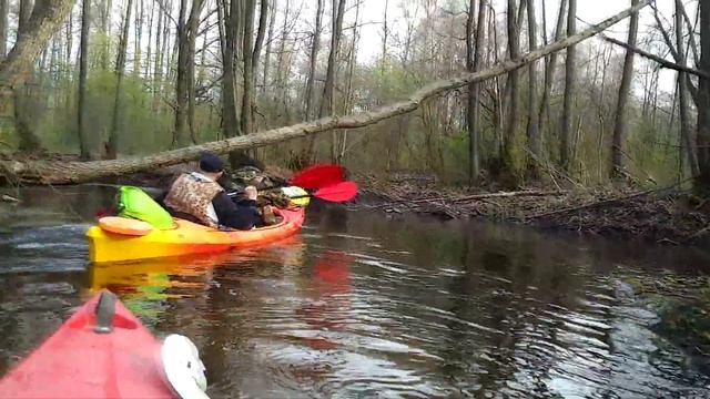 Сплав річкою Стохід, Волинь (Заячівка-Боровне 2019) // Stokhid river kayaking, Volyn, Ukraine смотреть онлайн