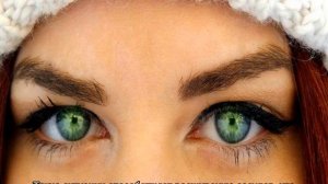 Ресничный клещ