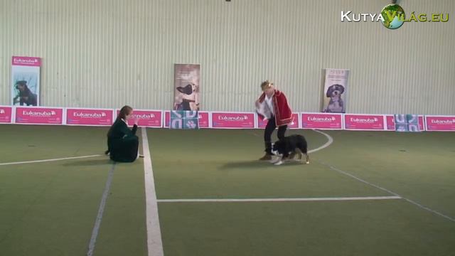 Eukanuba DD Monika Olsovska Nikola Detariova Arsinoe Blissa смотреть онлайн