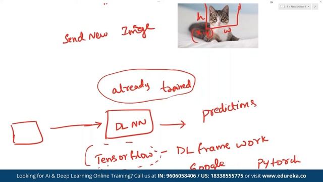 Realtime Object Detection | Object Detection with TensorFlow | Edureka | Deep Learning Rewind - 2 смотреть онлайн