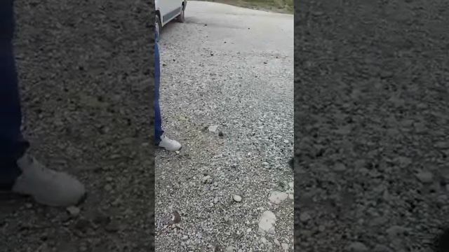 Мысхако отключили свет смотреть онлайн