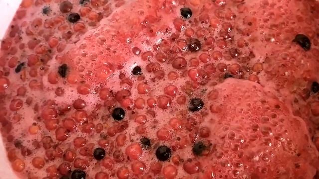 Домашнее желе: сладкая радость на каждом столе