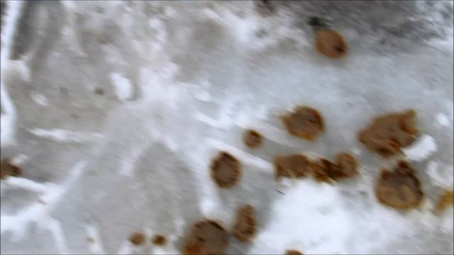 Как избавится от эмульсии.  Сепаратор картерных газов? Ответ.