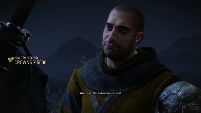 The Witcher 3: Wild Hunt - Hearts of Stone - All rewards from Master Mirror смотреть онлайн