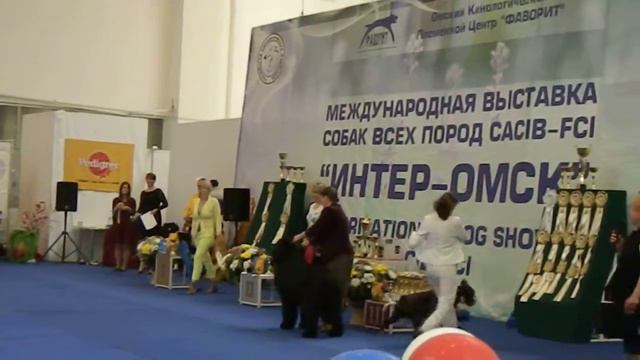 DSCN1638 смотреть онлайн