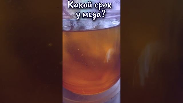 Какой срок годности у меда? #shorts смотреть онлайн