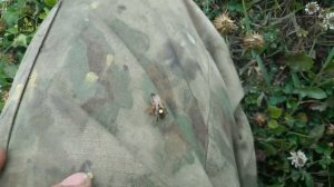 Матководство или С чем сталкиваются матководы