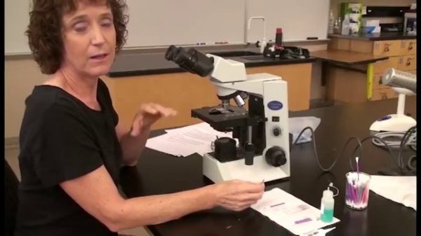 Microscope Tutorial - Detailed Version 2ч