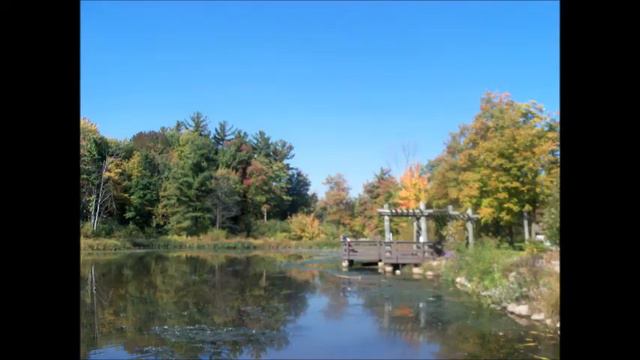 Ах, эта осень! - видеоклип от Фаины Розвадовской.wmv смотреть онлайн