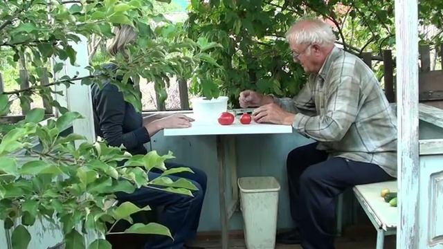 Наши мысли и урожай. смотреть онлайн