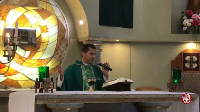 Misa del sábado, 13 de agosto de 2022 смотреть онлайн