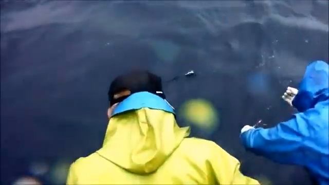 Морская рыбалка смотреть онлайн