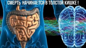 Как связана Кишечник и Мозг!  Шокирующая Правда! Аудиокнига Часть 2!