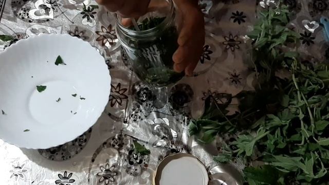 Solutie Tantarii 100% Naturala Facuta Acasa!!! смотреть онлайн