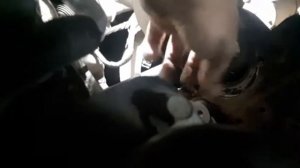 Chevrolet Lacetti 1.4 замена сгнившей трубки на помпе